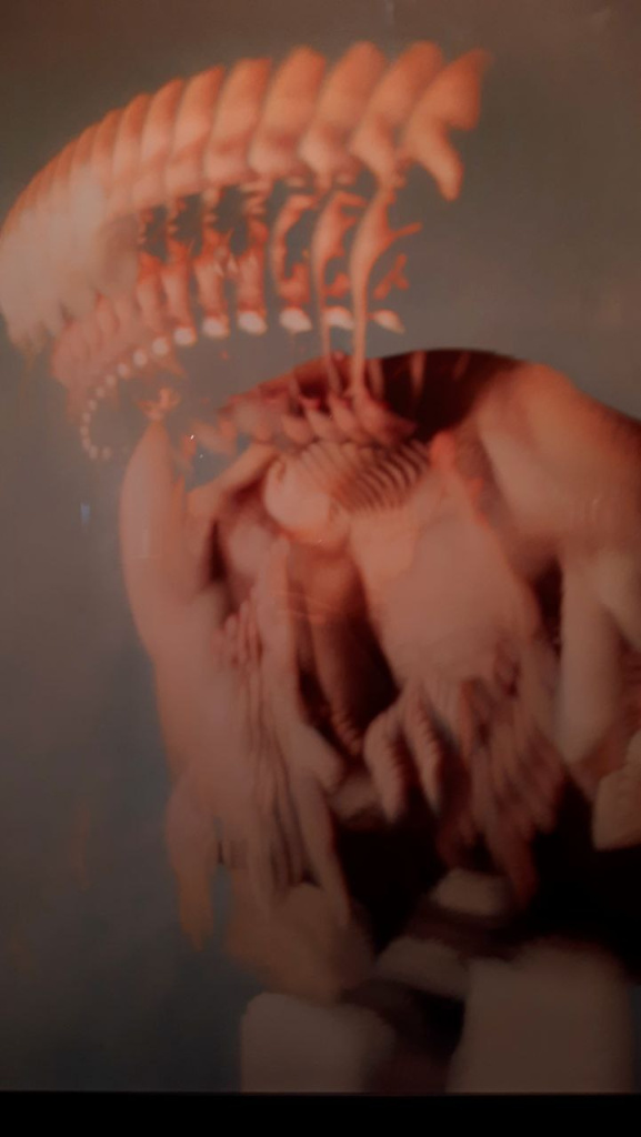 photo_2024-01-29_12-26-34 (4).jpg