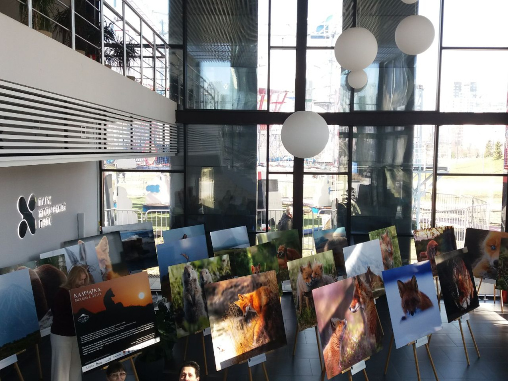 Фотовыставка Камчатка в Лисах